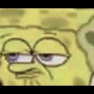 Meet your Posher, Claudia